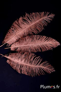 Autruche - 18-22 cm - bronze